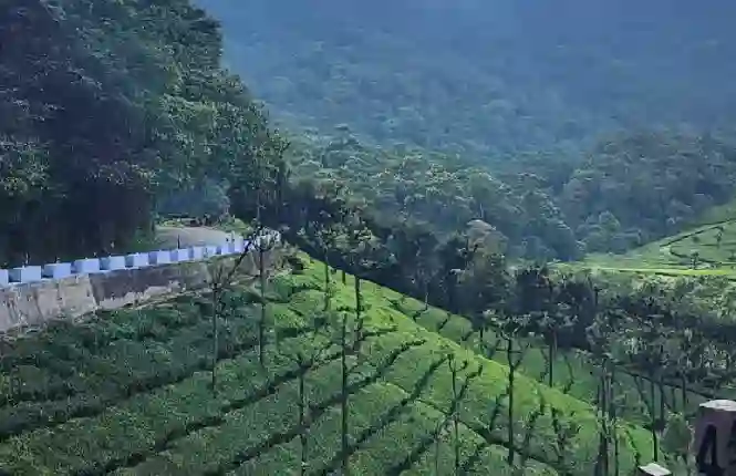 معايير مراقبة الجودة